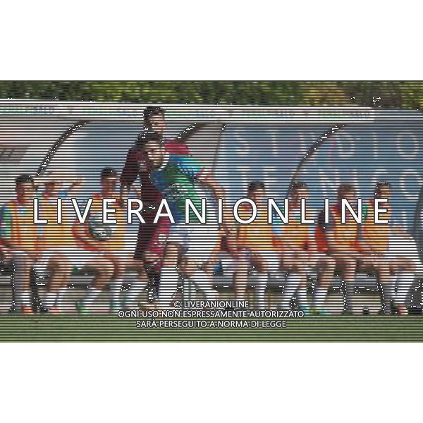 / AGENZIA ALDO LIVERANI SAS FeralpiSalo\' - Reggiana Coppa Italia Tim Cup 31 luglio 2016 Â©Fotolive / AGENZIA ALDO LIVERANI SAS