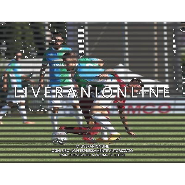 / AGENZIA ALDO LIVERANI SAS FeralpiSalo\' - Reggiana Coppa Italia Tim Cup 31 luglio 2016 Â©Fotolive / AGENZIA ALDO LIVERANI SAS