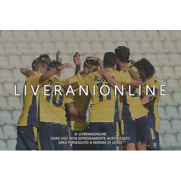 MODENA - FRANCAVILLA COPPA ITALIA TIM CUP 31 LUGLIO 2016 NELLA FOTO ESULTANZA DOPO IL GOL DI TULISSI ©optima oto / AGENZIA ALDO LIVERANI SAS