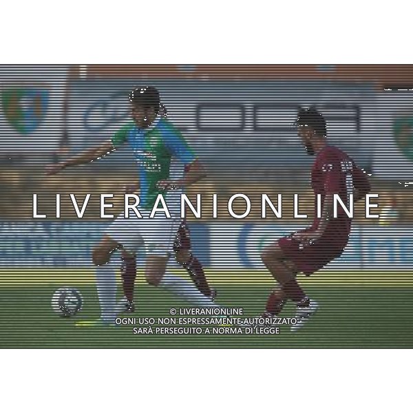 ,Feralpisalo-Reggiana partita coppa italia,salo 31 luglio 2016.Ph Fotolive, Simone Venezia e Filippo Venezia/AGENZIA ALDO LIVERANI SAS FeralpiSalo\' - Reggiana Coppa Italia Tim Cup 31 luglio 2016 