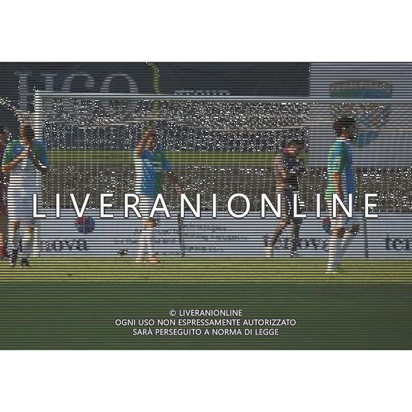 delusione Feralpi ,Feralpisalo-Reggiana partita coppa italia,salo 31 luglio 2016.Ph Fotolive, Simone Venezia e Filippo Venezia/AGENZIA ALDO LIVERANI SAS FeralpiSalo\' - Reggiana Coppa Italia Tim Cup 31 luglio 2016 