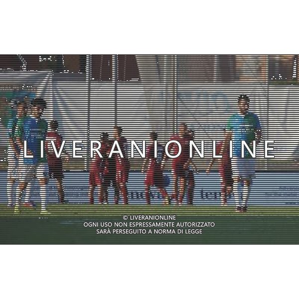 delusione Feralpi ,Feralpisalo-Reggiana partita coppa italia,salo 31 luglio 2016.Ph Fotolive, Simone Venezia e Filippo Venezia/AGENZIA ALDO LIVERANI SAS FeralpiSalo\' - Reggiana Coppa Italia Tim Cup 31 luglio 2016 