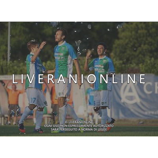 NiccolÃ² Romero esultanza ,Feralpisalo-Reggiana partita coppa italia,salo 31 luglio 2016.Ph Fotolive, Simone Venezia e Filippo Venezia/AGENZIA ALDO LIVERANI SAS FeralpiSalo\' - Reggiana Coppa Italia Tim Cup 31 luglio 2016 