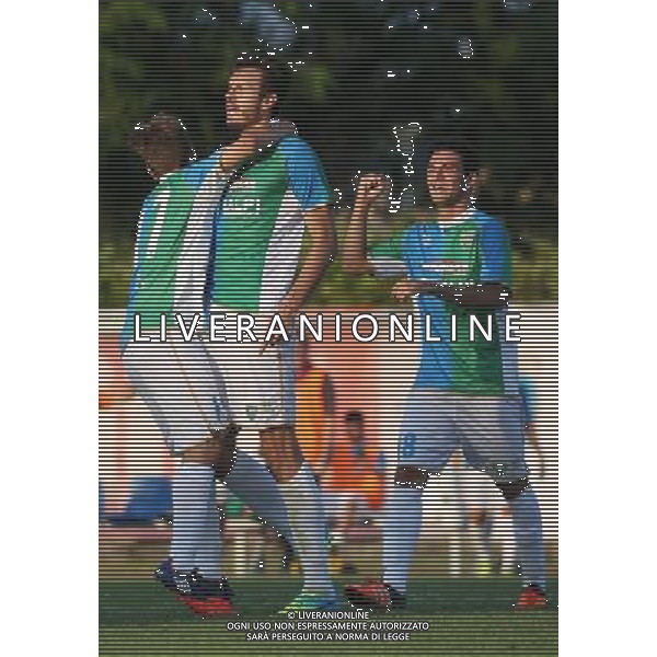 NiccolÃ² Romero esultanza ,Feralpisalo-Reggiana partita coppa italia,salo 31 luglio 2016.Ph Fotolive, Simone Venezia e Filippo Venezia/AGENZIA ALDO LIVERANI SAS FeralpiSalo\' - Reggiana Coppa Italia Tim Cup 31 luglio 2016 