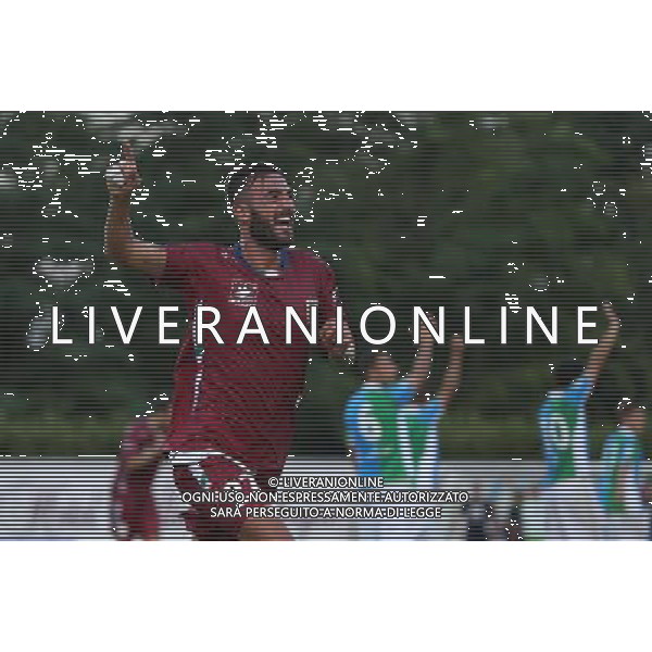 esultanza gol 2-3 Guidone, Feralpisalo Reggaina coppa Italia, Salo 31 luglio 2016. Ph Fotolive Filippo Venezia/AGENZIA ALDO LIVERANI SAS FeralpiSalo\' - Reggiana Coppa Italia Tim Cup 31 luglio 2016 
