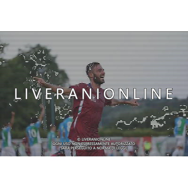 esultanza gol 2-3 Guidone, Feralpisalo Reggaina coppa Italia, Salo 31 luglio 2016. Ph Fotolive Filippo Venezia/AGENZIA ALDO LIVERANI SAS FeralpiSalo\' - Reggiana Coppa Italia Tim Cup 31 luglio 2016 
