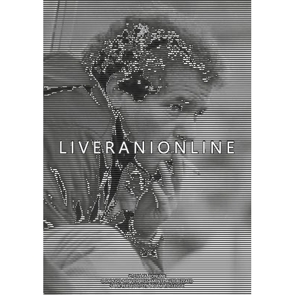 RETROSPETTIVA GUSTAVO GIAGNONI ALLENATORE CALCIO NELLAFOTO GUSTAVO GIAGNONI AG ALDO LIVERANI SAS