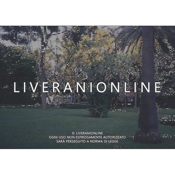 CAMPANIA-NAPOLI NELLA FOTO CASTEL NUOVO O CASTEL MASCHIO ANGIOINO AG ALDO LIVERANI SAS