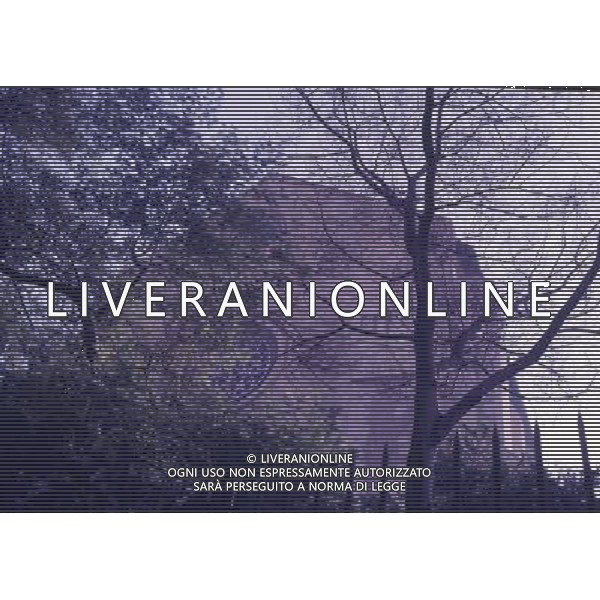 CAMPANIA -NAPOLI NELLA FOTO IL MONASTERO DI SANTA CHIARA AG ALDO LIVERANI SAS