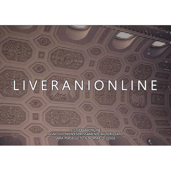 CAMPANIA -NAPOLI NELLA FOTO IL PALAZZO REALE INTERNI ED ESTERNI AG ALDO LIVERANI SAS