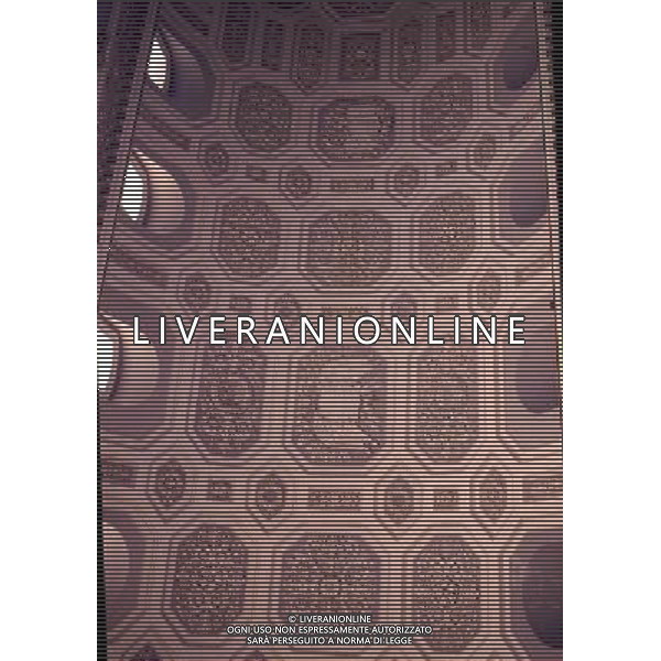 CAMPANIA -NAPOLI NELLA FOTO IL PALAZZO REALE INTERNI ED ESTERNI AG ALDO LIVERANI SAS