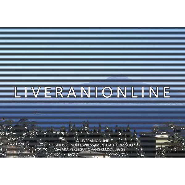 CAMPANIA -NAPOLI NELLA FOTO IL VESUVIO AG ALDO LIVERANI SAS