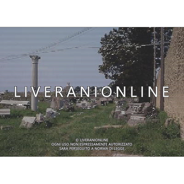 CAMPANIA -POMPEI NELLA FOTO POMPEI-TEMPIO DI VENERE AG ALDO LIVERANI SAS