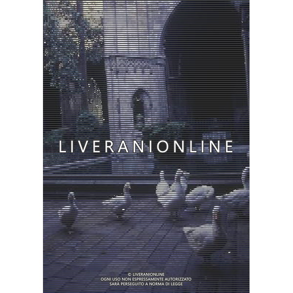 CAMPANIA-POMPEI NELLA FOTO POMPEI- AG ALDO LIVERANI SAS