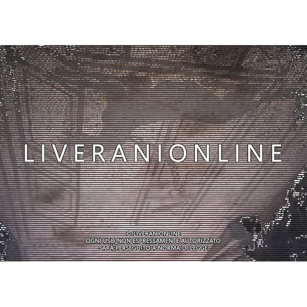 CAMPANIA -POMPEI NELLA FOTO POMPEI-CASA DEL PROCULO AG ALDO LIVERANI SAS