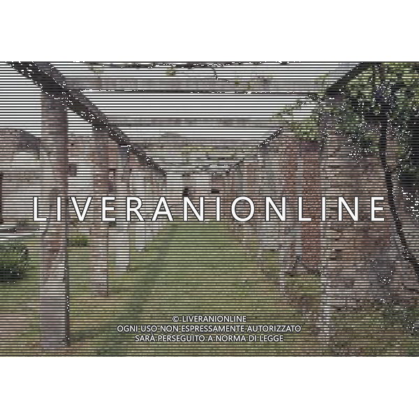 CAMPANIA -POMPEI NELLA FOTO POMPEI-VILLA DI GIULIA FELICE AG ALDO LIVERANI SAS