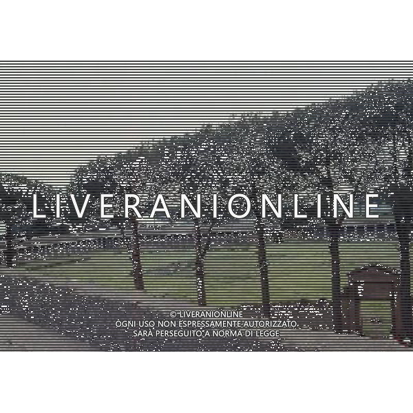 CAMPANIA -POMPEI NELLA FOTO POMPEI-LA GRANDE PALESTRA AG ALDO LIVERANI SAS