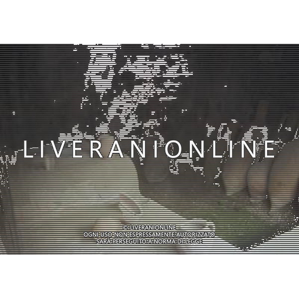 CAMPANIA -POMPEI NELLA FOTO BOTTEGHE VIA DELL\'ABBONDANZA AG ALDO LIVERANI SAS