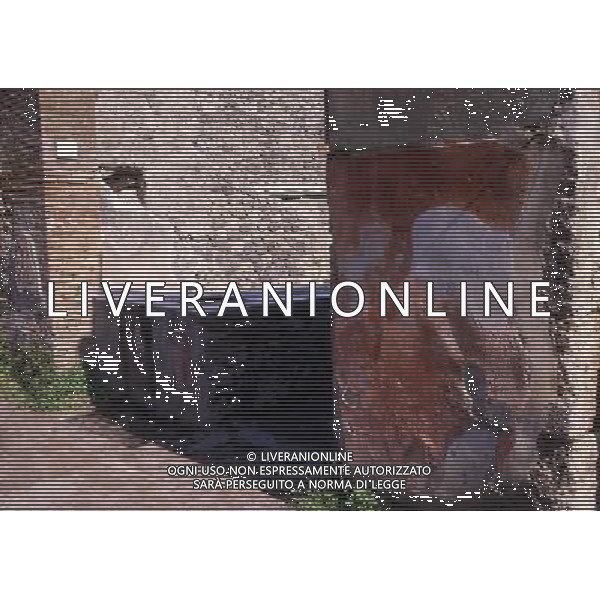 CAMPANIA -POMPEI NELLA FOTO VIA DELL\'ABBONDANZA AG ALDO LIVERANI SAS