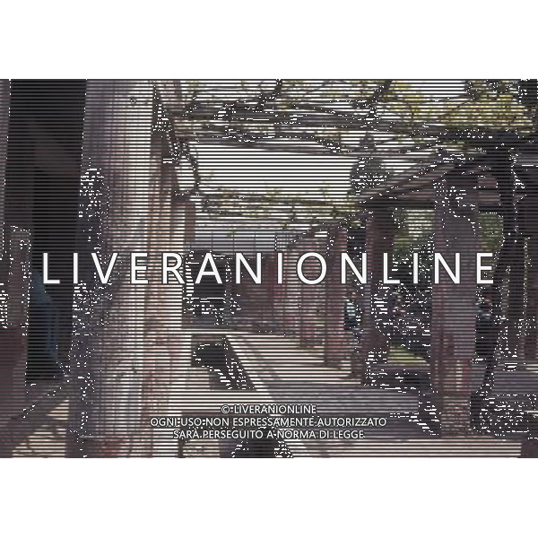 CAMPANIA-POMPEI NELLA FOTO POMPEI- CASA DI LOREIO TIBURTINO AG ALDO LIVERANI SAS