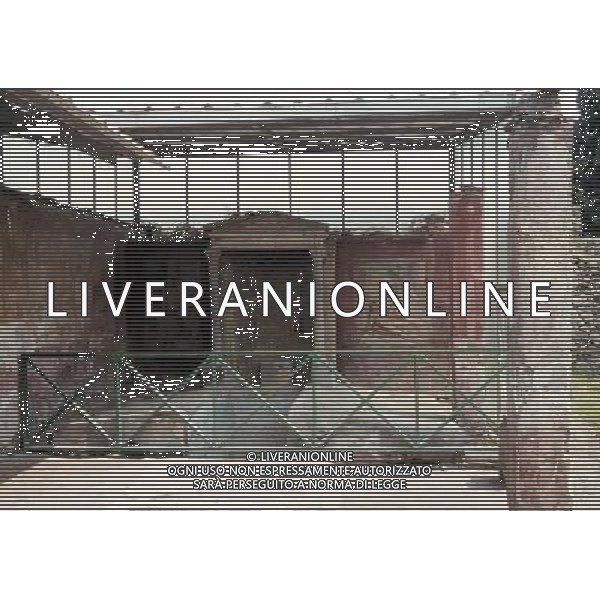 CAMPANIA-POMPEI NELLA FOTO POMPEI- CASA DI LOREIO TIBURTINO AG ALDO LIVERANI SAS