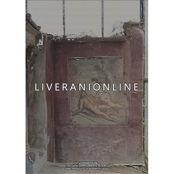 CAMPANIA-POMPEI NELLA FOTO POMPEI- CASA DI LOREIO TIBURTINO AG ALDO LIVERANI SAS