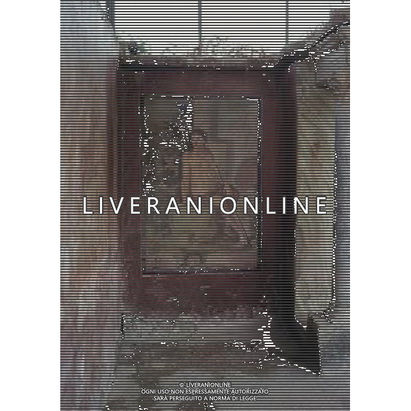 CAMPANIA-POMPEI NELLA FOTO POMPEI- CASA DI LOREIO TIBURTINO AG ALDO LIVERANI SAS