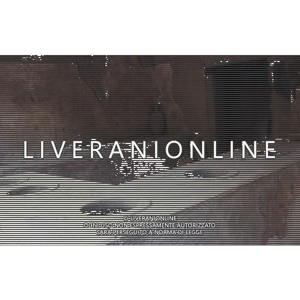 CAMPANIA-POMPEI NELLA FOTO POMPEI-BOTTEGA DI VIA DELL\'ABBONDANZA AG ALDO LIVERANI SAS