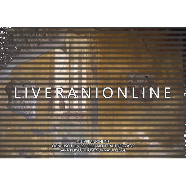 CAMPANIA-POMPEI NELLA FOTO POMPEI -LA CASA DI VENERE AG ALDO LIVERANI