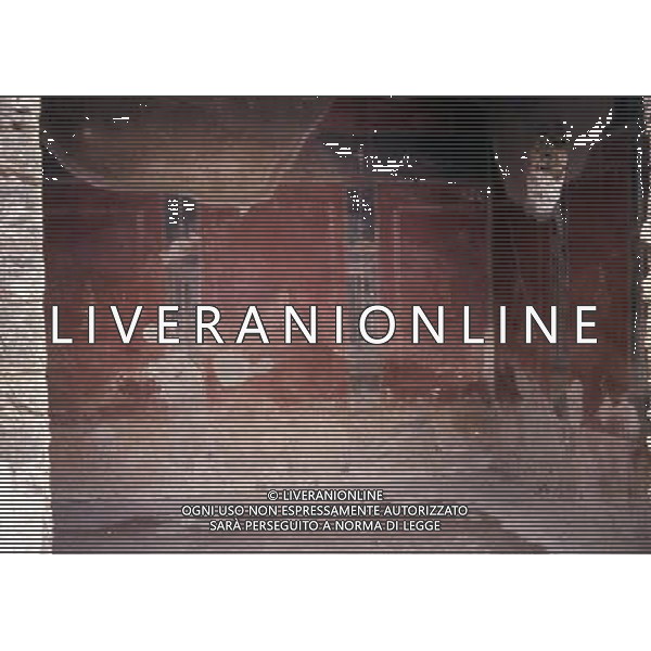 CAMPANIA-POMPEI NELLA FOTO POMPEI -LA CASA DI LOREIO TIBURTINO AG ALDO LIVERANI