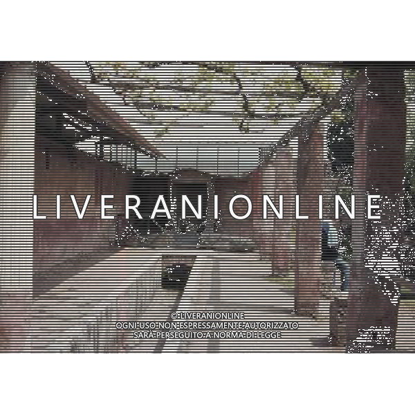 CAMPANIA-POMPEI NELLA FOTO POMPEI -LA CASA DI LOREIO TIBURTINO AG ALDO LIVERANI