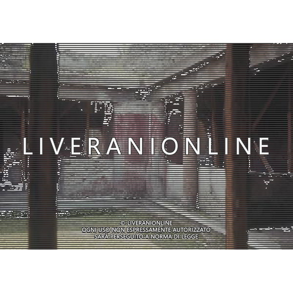 CAMPANIA-POMPEI NELLA FOTO POMPEI-CASA DI EPIDIO RUFO AG ALDO LIVERANI SAS