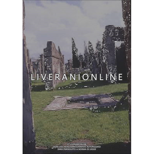 CAMPANIA-POMPEI NELLA FOTO POMPEI-CASA DI CORNELIA AG ALDO LIVERANI SAS