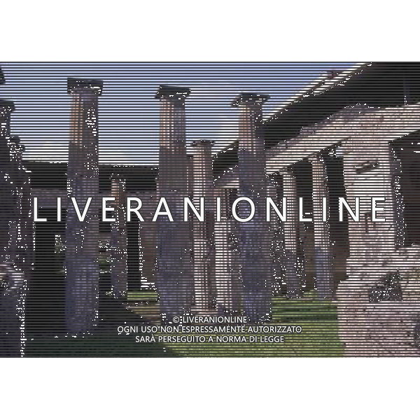 CAMPANIA-POMPEI NELLA FOTO POMPEI-LA CASA DI EPIDIO RUFO AG ALDO LIVERANI SAS