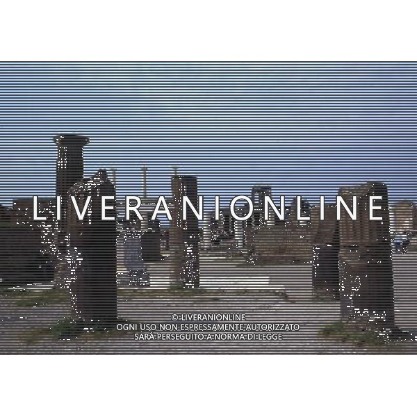 CAMPANIA-POMPEI NELLA FOTO POMPEI- LA BASILICA AG ALDO LIVERANI SAS