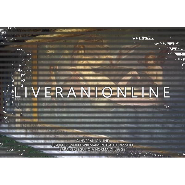 CAMPANIA-POMPEI NELLA FOTO POMPEI-CASA DI VENERE AFFRESCO AG ALDO LIVERANI SAS