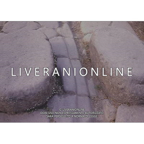 CAMPANIA-POMPEI NELLA FOTO POMPEI-PARTICOLARE DEL PASSAGGIO PEDONALE AG ALDO LIVERANI SAS