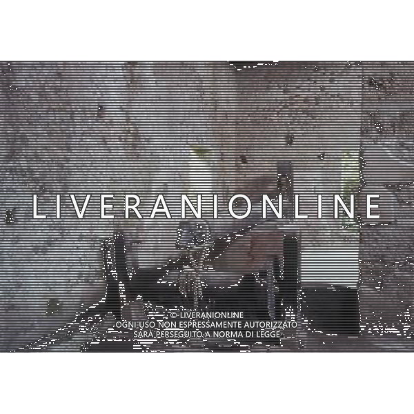 CAMPANIA-POMPEI NELLA FOTO POMPEI-VILLA DEI MISTERI TORCHIO VINARIO AG ALDO LIVERANI SAS