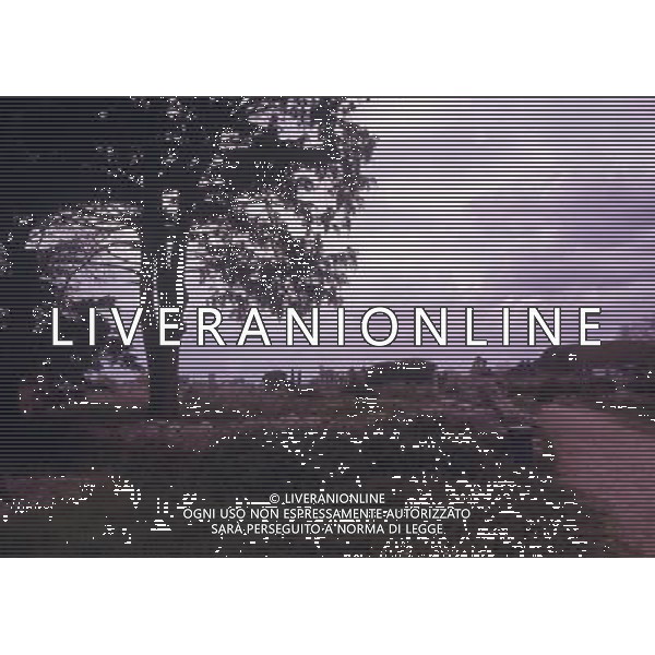 CAMPANIA -PAESTUM NELLA FOTO VARIE IMMAGINI DI PAESTUM AG ALDO LIVERANI SAS