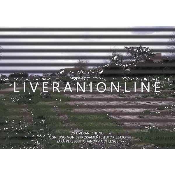 CAMPANIA -PAESTUM NELLA FOTO VARIE IMMAGINI DI PAESTUM AG ALDO LIVERANI SAS