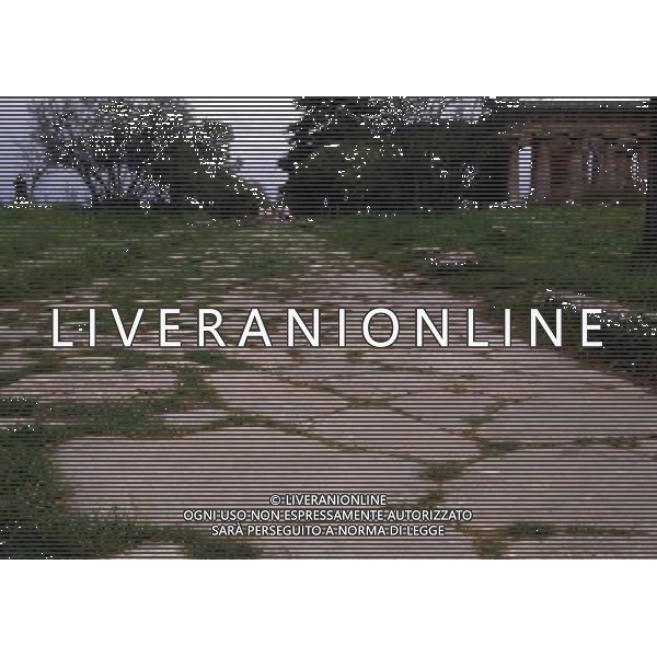 CAMPANIA -PAESTUM NELLA FOTO VARIE IMMAGINI DI PAESTUM AG ALDO LIVERANI SAS