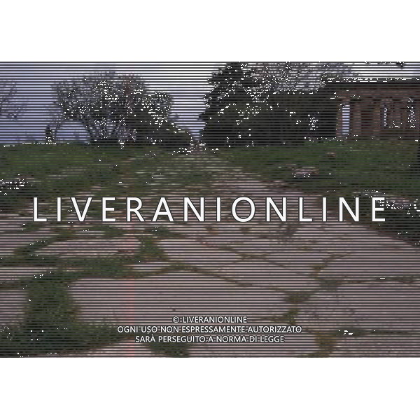 CAMPANIA -PAESTUM NELLA FOTO VARIE IMMAGINI DI PAESTUM AG ALDO LIVERANI SAS