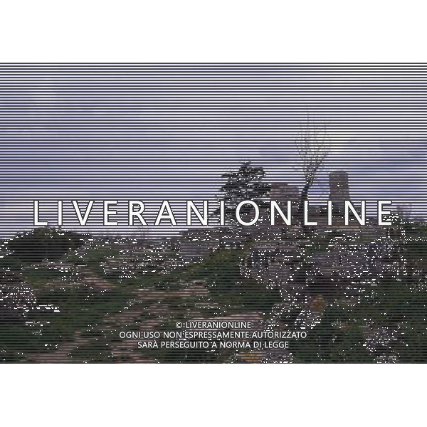 CAMPANIA -PAESTUM NELLA FOTO VARIE IMMAGINI DI PAESTUM AG ALDO LIVERANI SAS