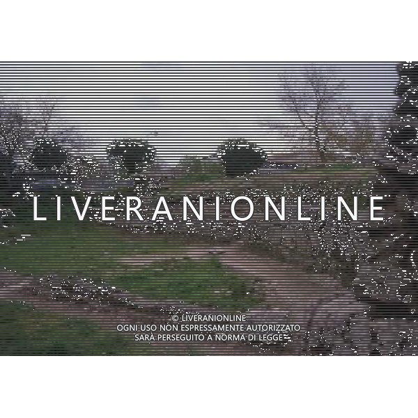 CAMPANIA-PAESTUM NELLA FOTO ANFITEATRO ROMANO AG ALDO LIVERANI SAS