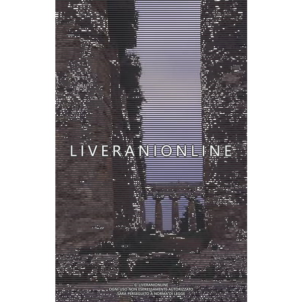 CAMPANIA-PAESTUM NELLA FOTO BASILICA AG ALDO LIVERANI SAS