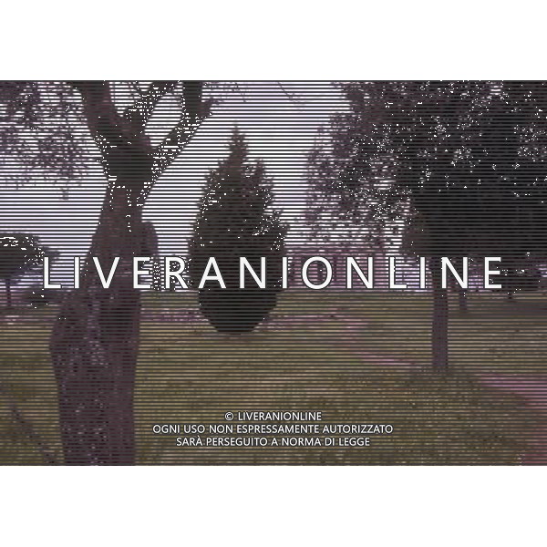 CAMPANIA -PAESTUM NELLA FOTO IL TEMPIO CERERE AG ALDO LIVERANI SAS