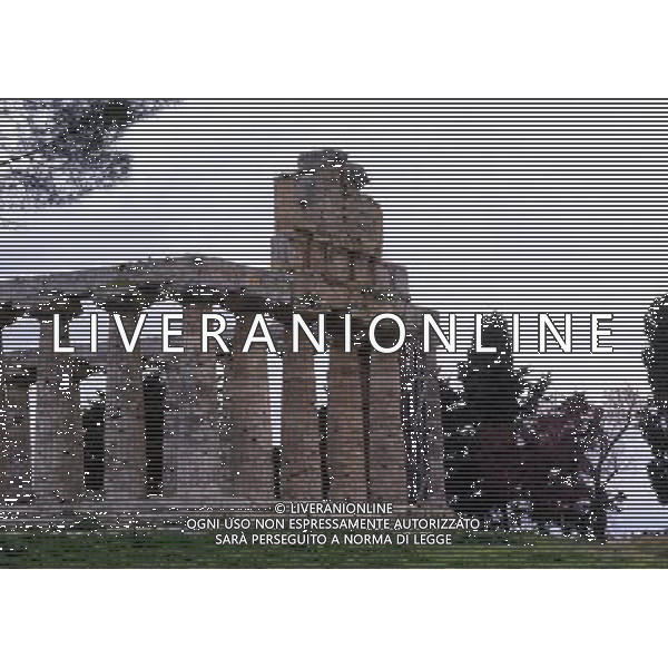 CAMPANIA -PAESTUM NELLA FOTO IL TEMPIO CERERE AG ALDO LIVERANI SAS