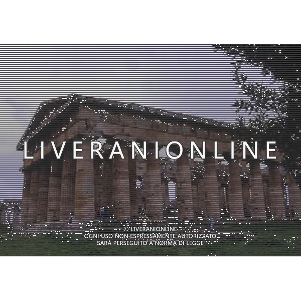 CAMPANIA-PAESTUM NELLA FOTO TEMPIO DI NETTUNO AG ALDO LIVERANI SAS