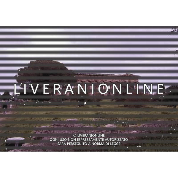 CAMPANIA-PAESTUM NELLA FOTO TEMPIO DI NETTUNO AG ALDO LIVERANI SAS