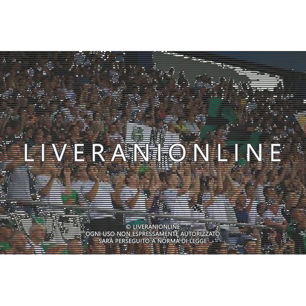 SASSUOLO - LUCERNA PRELIMINARI UEFA EUROPA LEAGUE 04 AGOSTO 2016 NELLA FOTO TIFOSI SASSUOLO ©GS/AGENZIA ALDO LIVERANI SAS